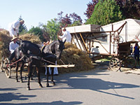 Festival Kucurska zetva Festival Kucurska zetva